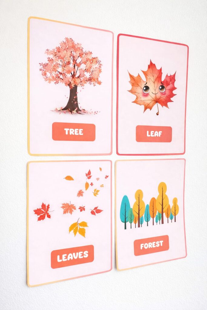 Flashcards – Tema FALL (Outono)