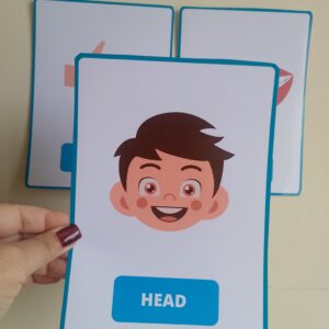 Body Parts - Flashcards