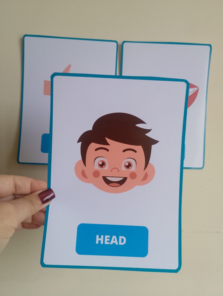 Body Parts - Flashcards