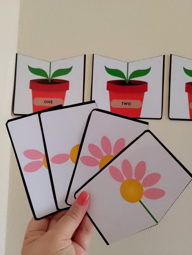 Numbers – Flowers