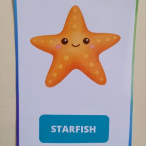 Sea Animals – Flashcards