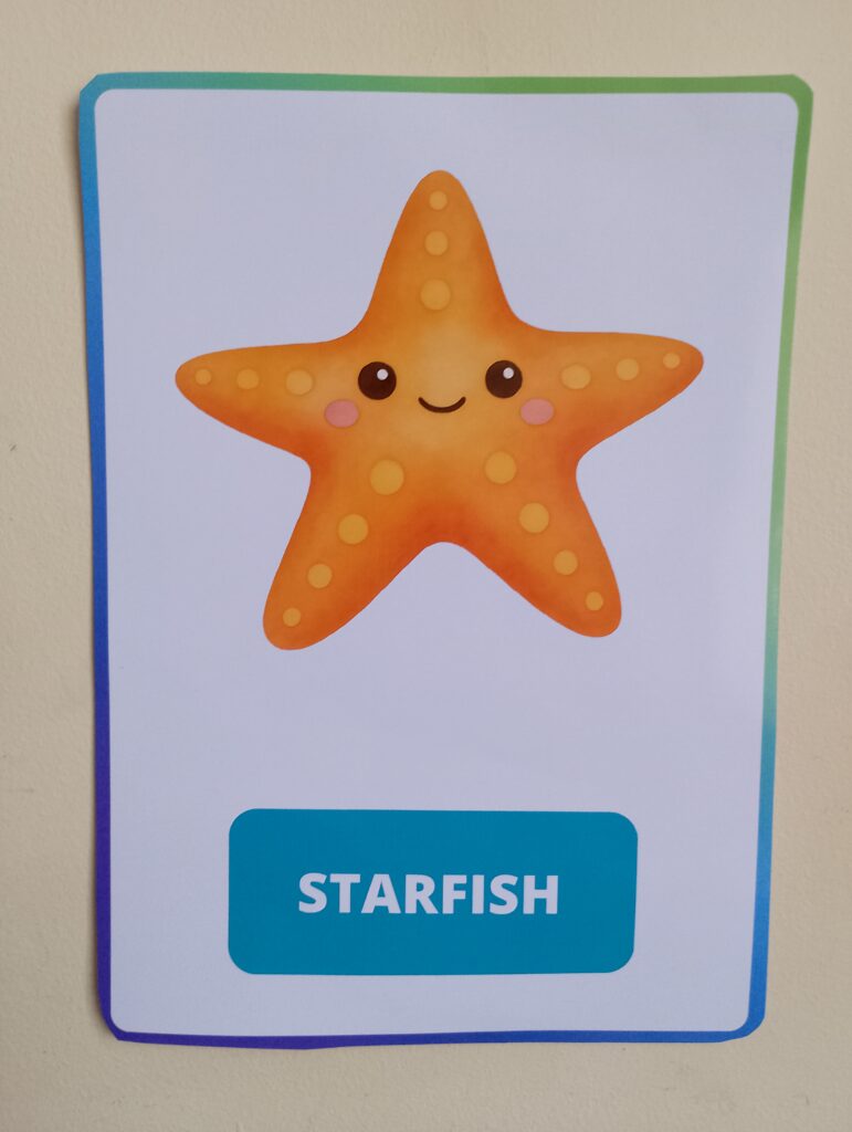 Sea Animals – Flashcards