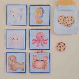 Sea Animals – Who took the cookie?