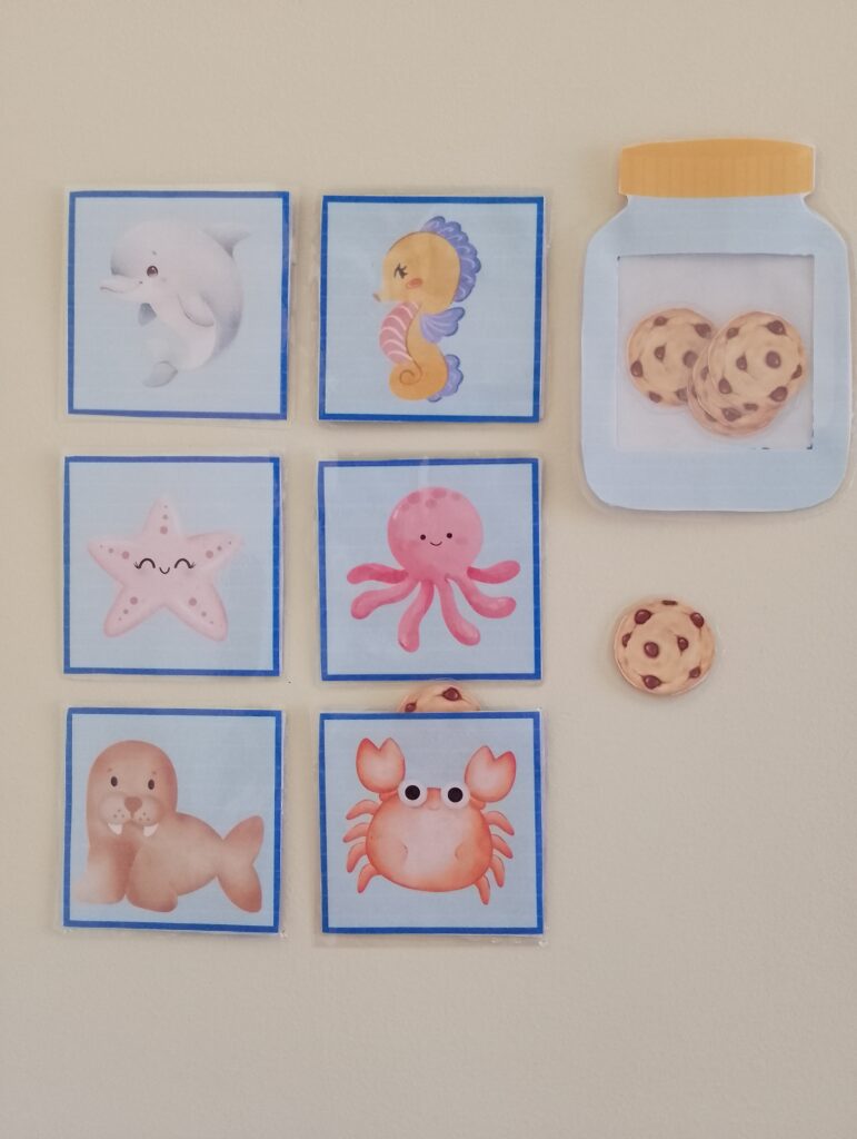 Sea Animals – Who took the cookie?