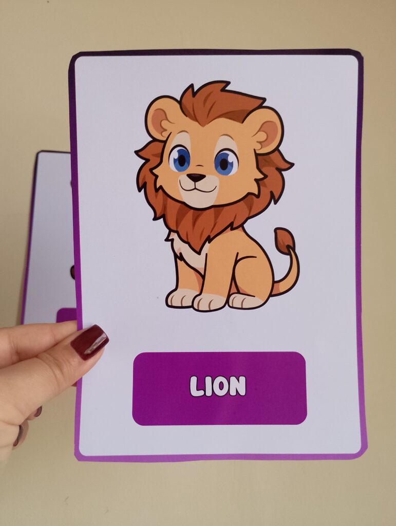 Zoo Animals – Flashcards