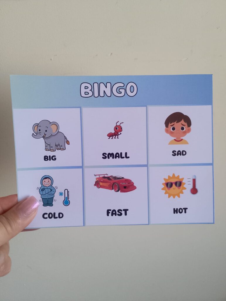 Bingo - Opposites