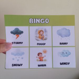 Bingo - Weather