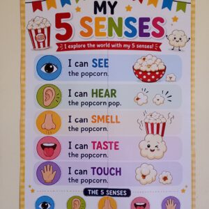 Five Senses – Popcorn Poster