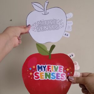 Five Senses – Apple Craft