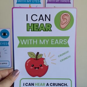 Five Senses Flashcards – Fruits 2