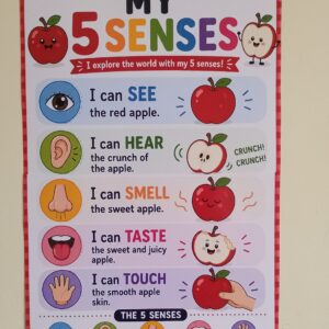 My Five Senses – Apple Poster