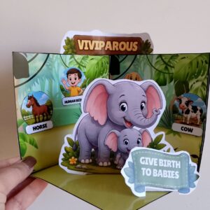 Animal Classification | Pop-Up Model