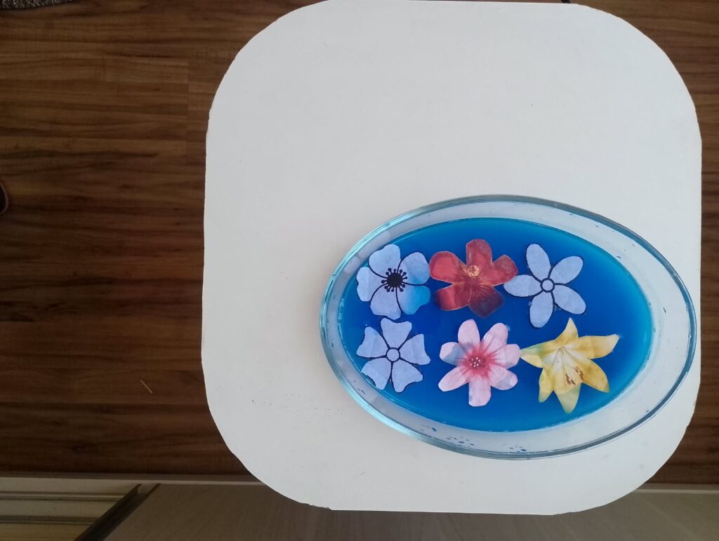 Spring – Blooming Flowers